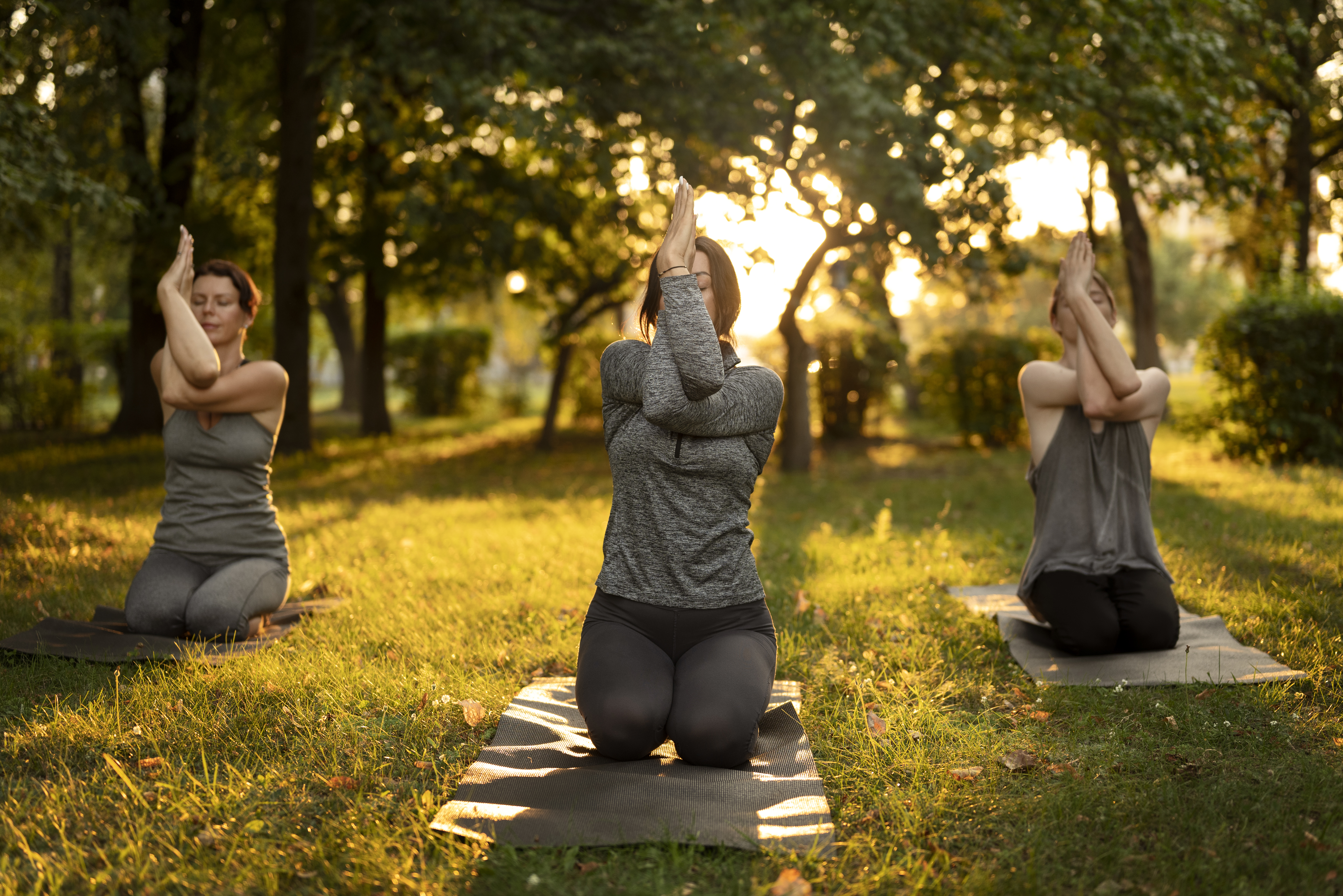Ryhmä harjoittamassa tai chi-liikkeitä metsäaukiolla